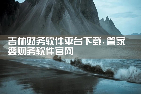 吉林财务软件平台下载