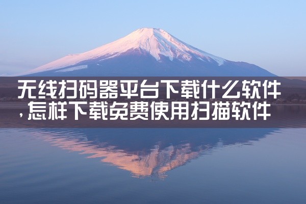 无线扫码器平台下载什么软件