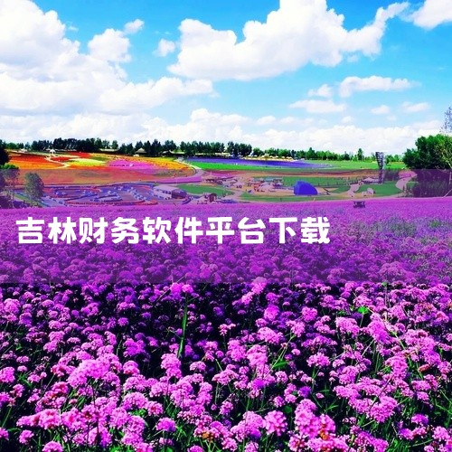 2. 财务管理软件官网：许多提供财务管理的软件公司在其官方网站上提供预算软件下载服务。这些软件通常拥有更全面的功能，适合有一定规模的企业使用。例如，畅捷通易代账等软件就提供了预算管理模块，用户可以根据,