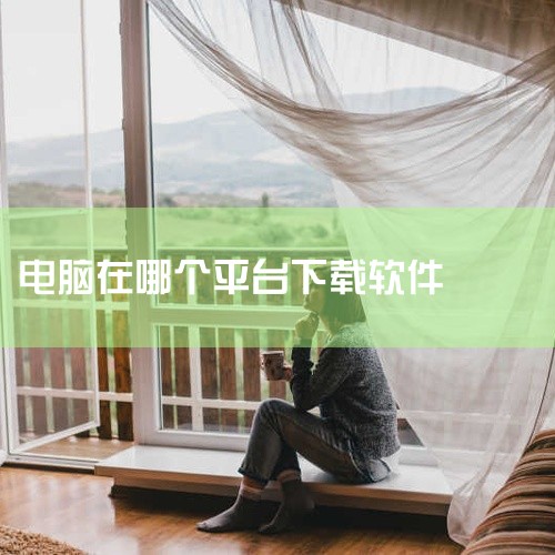 360软件管家作为360安全卫士旗下的软件下载与管理工具，拥有海量软件资源。它具备一键安装、卸载、升级功能，大大简化了软件管理的流程。此外，还提供软件安全检测功能，在下载前对软件进行安全评估，让用户下|